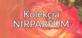 Róże z kolekcji NIRPARFUM