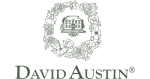 David Austin